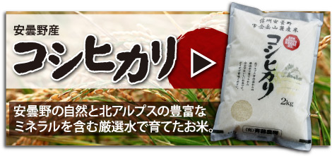 信州長野のおいしいお米(コシヒカリ)の通販